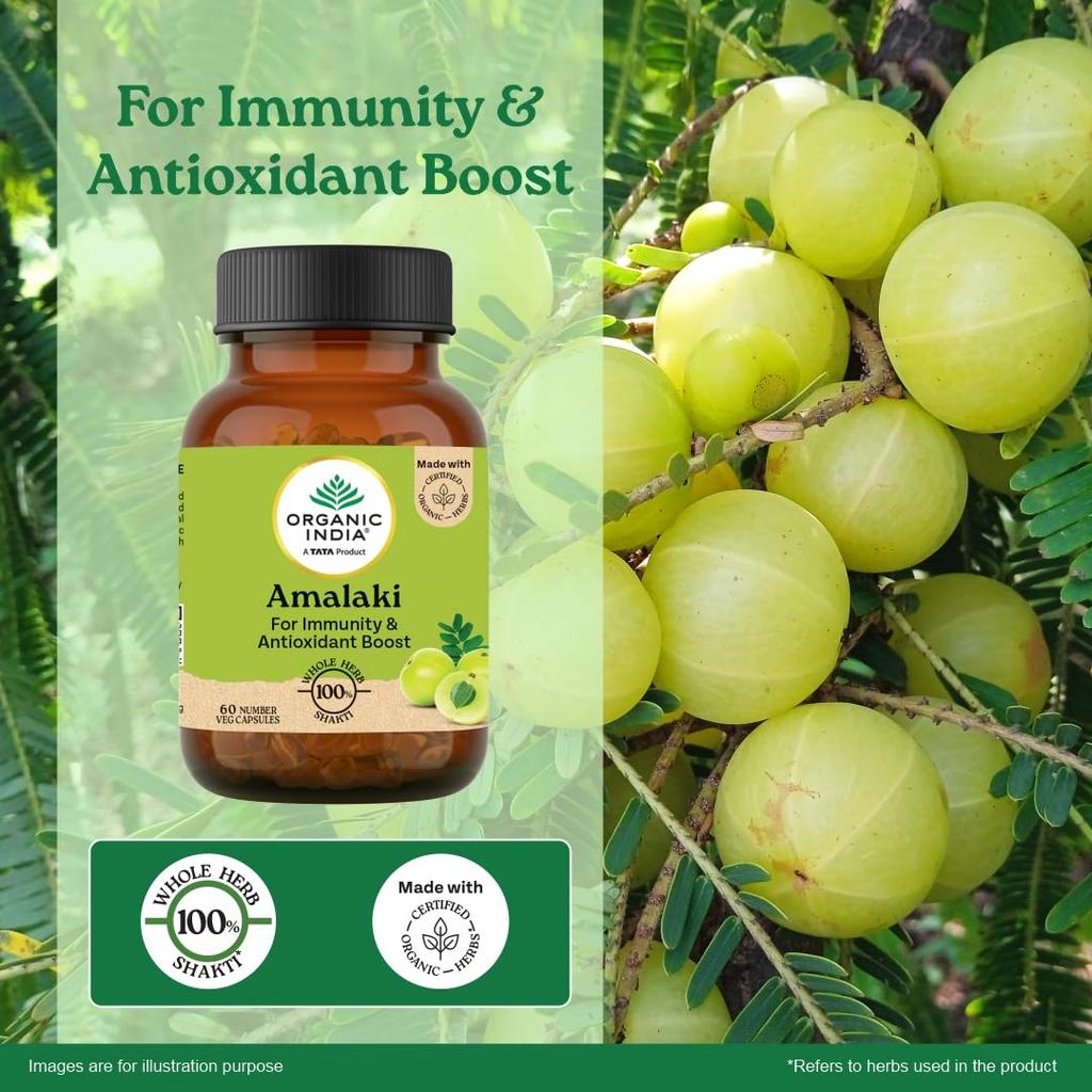 ORGANIC INDIA Amalaki Veg Capsules Natural Wellness Supplement For Daily Vitality And Energy Support With Antioxidant Benefits 60 Capsules