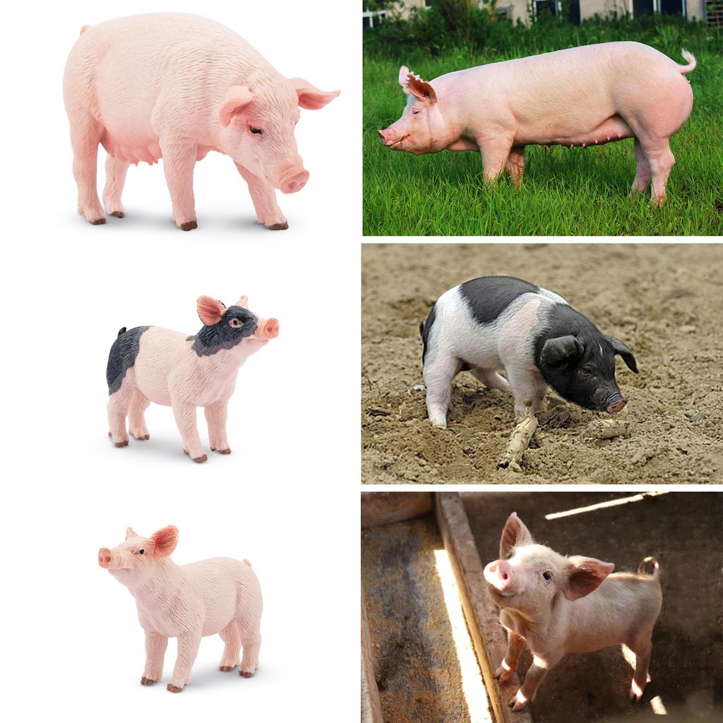 TOYMANY 8-Piece Farm Animal Figure Set, Pig Figures, Parent and Child Figures, Realistic Animal Models, Popular Animal Toys, Birthday Gifts,