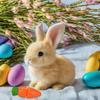 1/3Pcs Electric Plush Bunny Toy with Carrot Interactive Shaking Ears Jumping Rabbit Plushie