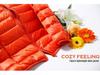 2025 Women's Hooded Lightweight Slim-Fit Down Jacket