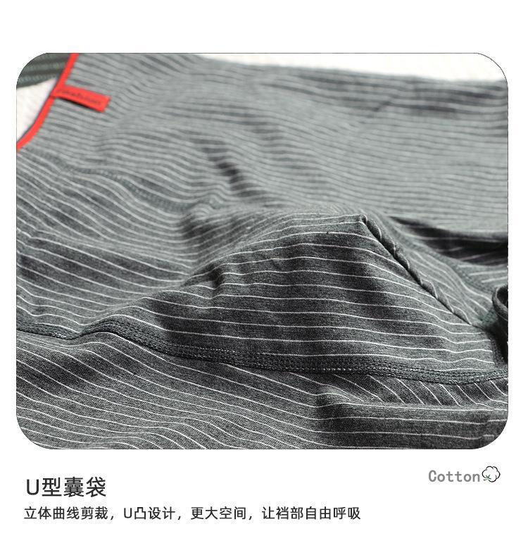 Classic Stripe Series Men's Basic Flat Angle Underwear