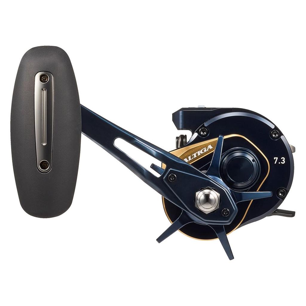 Daiwa Jigging Baitcasting Reel 25SALTIGA IC 300HL-SJ-C