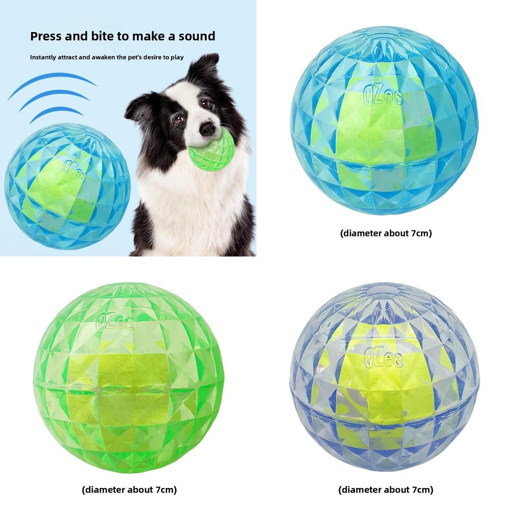 Haustier-Sprachaktiviertes Gummi-Spielzeug mit Leuchte für kleine Hunde zum Spielen im Freien