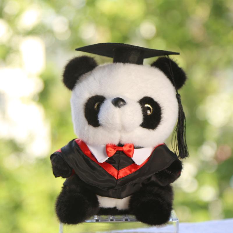 Dr. Panda doll graduation bear kindergarten gift doll Dr. Bear plush toy