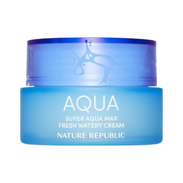 Nature Republic Super Aqua Max Fresh Watery Cream For Oily Skin, 80ml