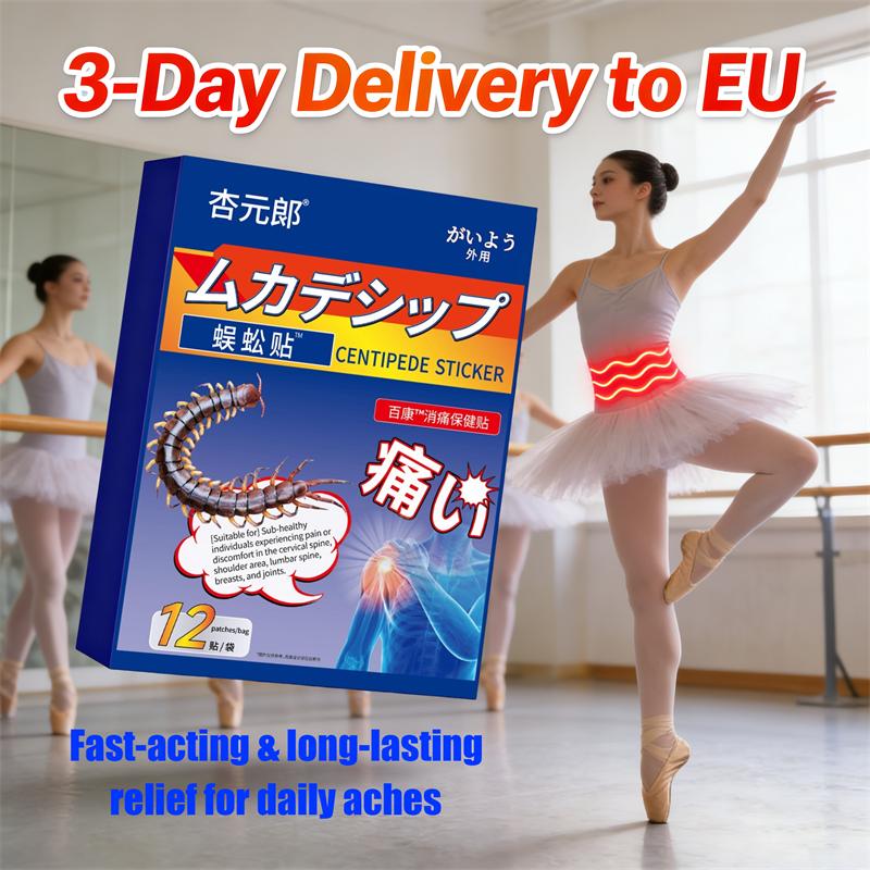 Unterer Rücken Schmerzen Tausendfüßler Pflaster – Lindert lumbale Beschwerden. 12 Pflaster pro Beutel, zur äußerlichen Anwendung.