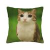 Funny Meowl I Can't Take it Anymore Cat Owl Pillowcase Double-sided Printing Cushion Cover Gift  Throw Pillow Case Cover