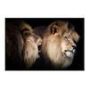 Canvas Painting Modern Wild Animal Black and White Kissing Lions Head Wall Art Pictures for Living Room Cuadros Home Decoration No Frame