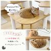 Japanese Manufacturer RAKU Cat For Senior Fat Transparent Comes with Hammock Height Approximately 130 Cat House for Multiple Rounded Easy To with