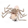 Novelty Pet Spider Costume Cute Dogs Cats Vibrant Plush Spider Outfit Easy Wear Pet Party Cosplay Dress Suit Pet Costume