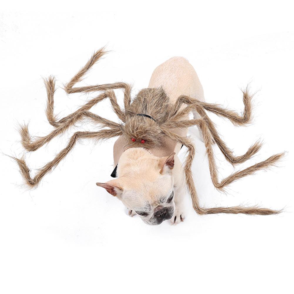 Novelty Pet Spider Costume Cute Dogs Cats Vibrant Plush Spider Outfit Easy Wear Pet Party Cosplay Dress Suit Pet Costume