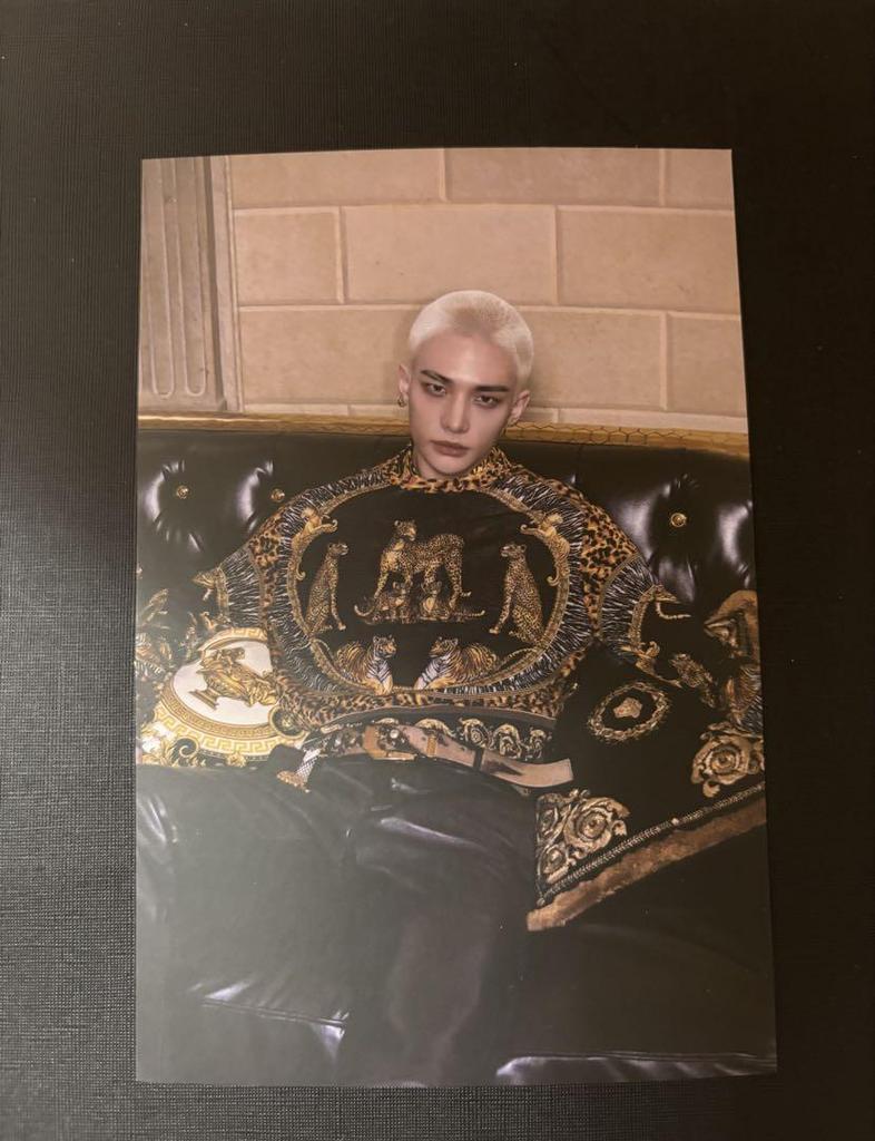 [USED] straykids Hyunjin Versace postcard with bonus