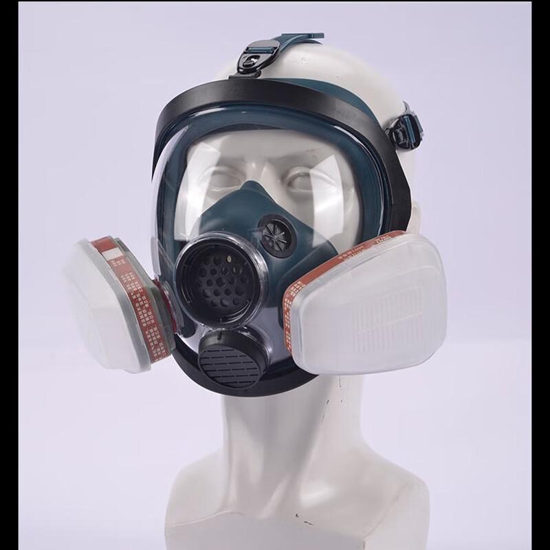 OIMG Full Face Protective Gas Mask Kit