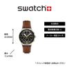 Swatch CANYON CHASER YVS530 Brown Wristwatch Men's
