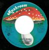 7inch Record SONGBIRD  Dirty Work M7005 MUSHROOM 1974 Canada Rock Used