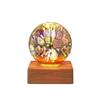 Creative Romantic Starry LED Night Light - USB Plug-In Bedroom Bedside Lamp