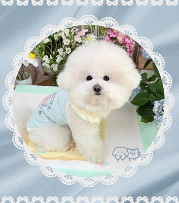 Frühlings- und Sommerkleidung für Katzen und Hunde: Dünn Niedlich Cartoon Bedruckt Stilvoll Macaron-Farben Neckholder Bichon und Zwergspitz Kleiner Kurzer Stil