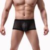 Men Summer Thin Underwear Low-rise Sexy Transparent Lace Shorts Panties Breathable Lightweight Elastic Comfortable Underwear