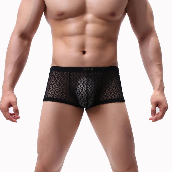 Men Summer Thin Underwear Low-rise Sexy Transparent Lace Shorts Panties Breathable Lightweight Elastic Comfortable Underwear
