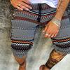 Men's Shorts Summer Shorts Bermuda Shorts Beach Shorts Drawstring Print Graphic Prints Comfort Lightweight