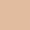 BANILA CO Covericious Power Fit Foundation SPF45 PA++ 30ml