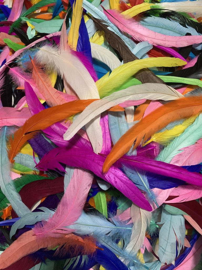 Natural  50pcs Rooster Tail Feather  Plumes 25-45CM 10-18inch Beige DIY Dyed Cock Tail Clothing Accessories Jewelry Performance