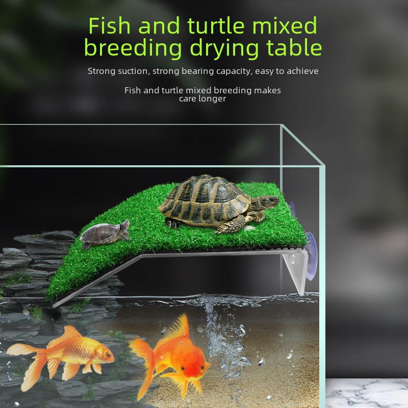 Brazilian Tortoise Climbing and Sunbathing Platform with Turf Ladder for Large Breeding Box