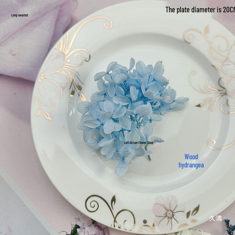 Blue Series Dried Flower DIY Kit: Hydrangea, Thousand-Layer Gold, Eucalyptus Leaf Souvenir Decoration