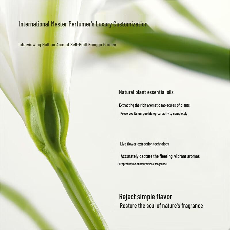 Ban Mu Hua Tian Moisturizing Hand Cream 3-Pack