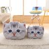 Crystal Velvet Pillow, Sofa Cushion, Removable Washable Pillow, Cartoon Simulation Cute Kitten Pillow, Plush Velvet Pillow,Sofa Decoration