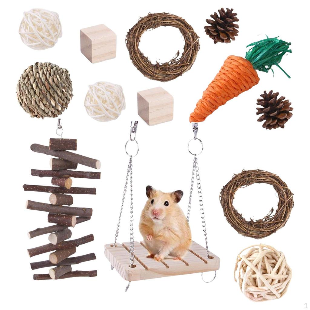 Rabbit Hamster Chew Toys Set Grinding Toy Small Animals Molar Supplies