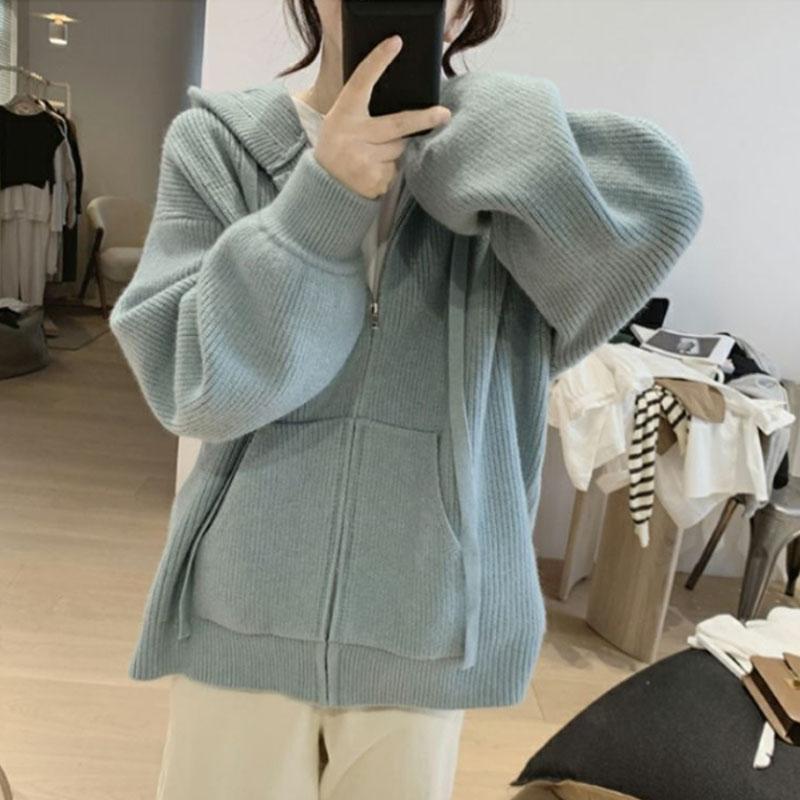 

Синий свободный свитер на молнии с капюшоном для женщин на осень и зиму, нежный, мягкий и ленивый вязаный кардиган, верхняя куртка One Size небесно-голубой