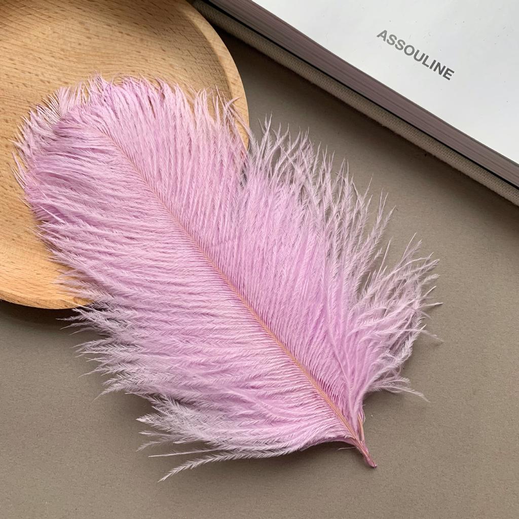 Color ostrich hair 15-20CM ostrich feather Internet celebrity photo background wall feather cake flower arrangement DIY decoration