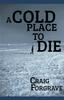 Kniha A Cold Place To Die