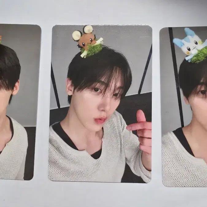 ASTRO's Yoon Sanha POB Fanfly Small Animals