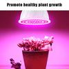 Led Grow Light Bulb E27 220V Full Spectrum 48/60/80Led Plant Lamp For Indoor Garden Seedling Greenhouse Hydroponics Grow Tent