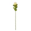 Hill Interiors Banksia Stem Artificial Plant