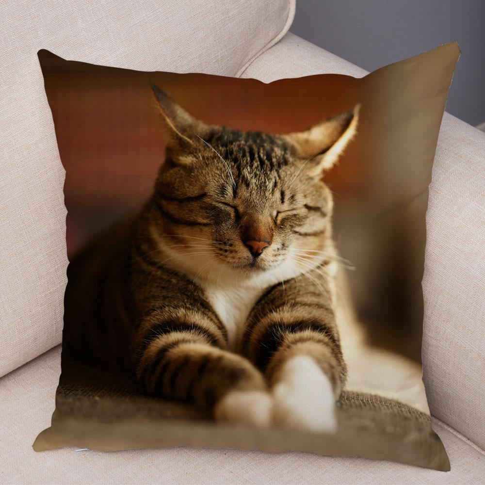 

Веселый милый кот, домашнее животное, серия наволочек, украшение для детской комнаты, украшение для гостиной, спальни, дома 45x45cm