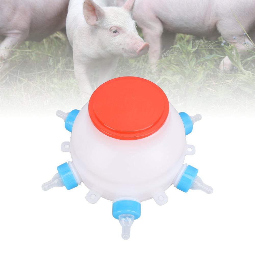 13 Pcs Set 2.6 Quart Lamb Milk Bottle Thickened Piglet Feeder Bottle  Young Livestock