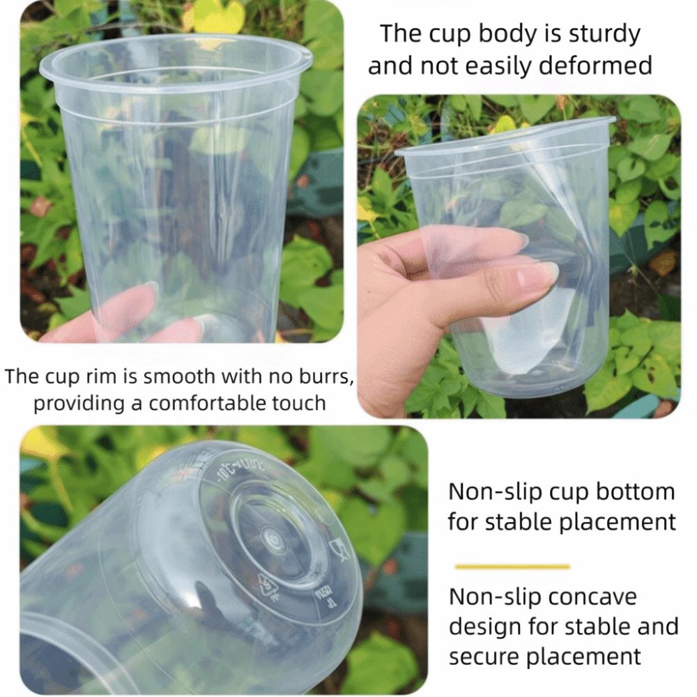 Kunststoffmaterial Hydroponische Samen Anzuchttöpfe Wiederverwendbar Langlebig Wurzelansicht Becher Transparent Sämlingskörbe Sukkulenten Anzucht