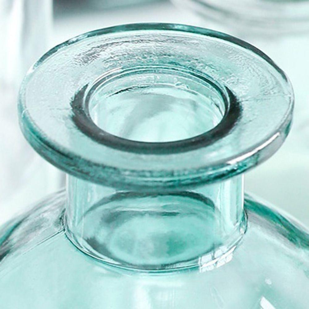 Hydroponic Plant Living Room Glass Bottle Home Decoration Flower Vase Glass Vase Table Decor