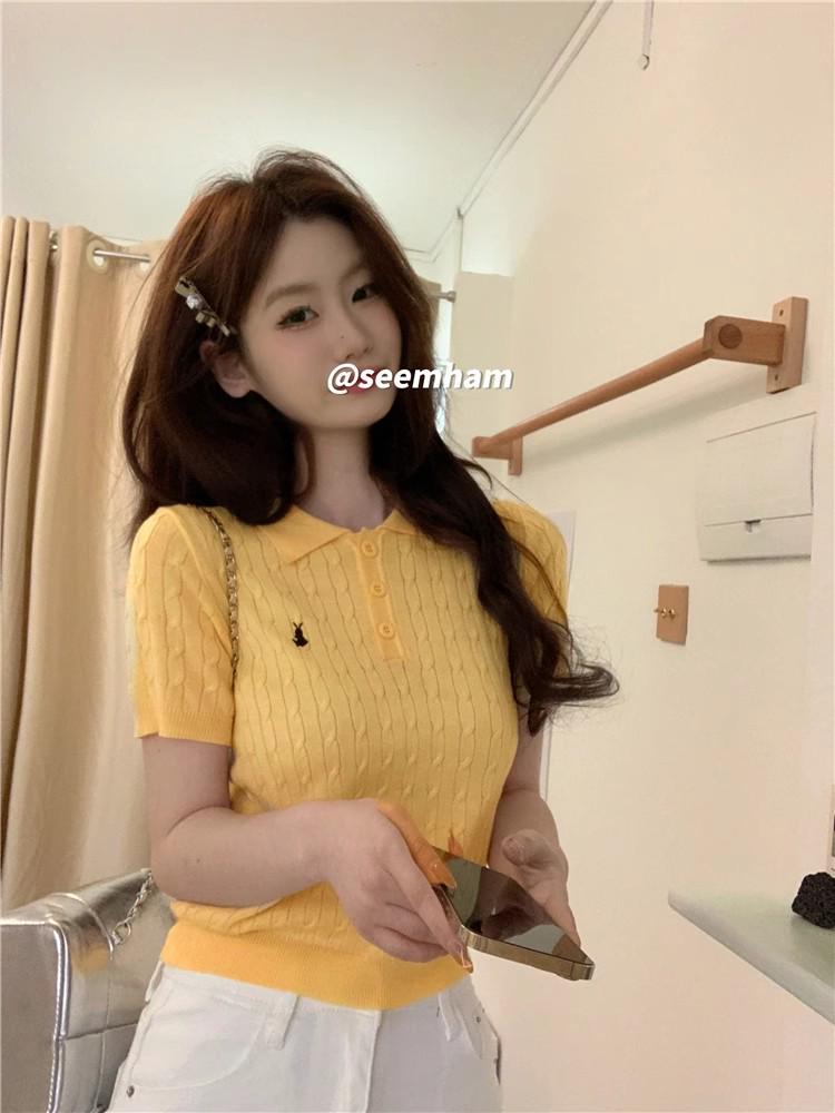 2025 Sommer Koreanischer Stil Polokragen Eisseide Gestrickte Kurzarm Damenbluse