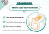 Australia Swisse Children's Vitamin K2 Calcium Citrate, VD3, Zinc Bone & Teeth Support, 60 Giraffe Chewable Tablets