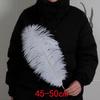 White Ostrich Feathers 15-80cm for Lighting, Wedding Aisle Decor, Photo Props, and Vase Ornaments