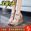 Wedge Heel Sandals Women's Summer 2025 New Suede Platform Women's Shoes Waterproof Platform Muffin Shoes Hollow Fish Mouth High Heels