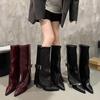Women's Tall Boots Fashion 2025 European and American New Outward-worn Pointed Toe Long-thigh Boots