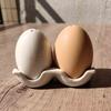 Cute Egg Spice Jar Set - Creative Ceramic Salt and Pepper Shakers, Kitchen Dining Table Decor for Home