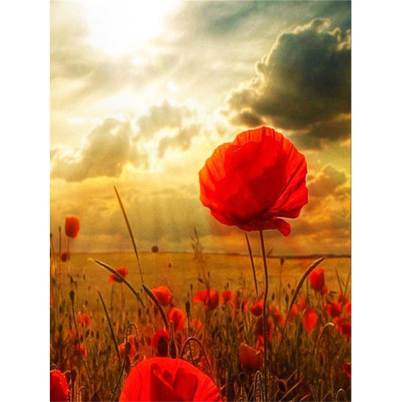 

DIY Алмазная картина Красные цветы Набор для вышивки крестом Мозаичное искусство Алмазная картина Полный круг Алмазное украшение для дома Round 30x40cm