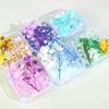 Artistic Dried Floral Arrangement In Resin Featuring Natural Stones And Pearls Lightweight Decorative Accent