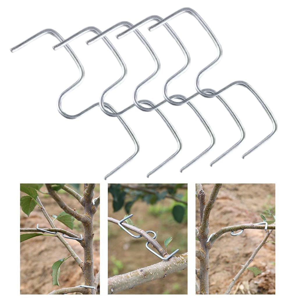 100Pcs Fruit Tree Branch Puller Tying Machine For Plum Trees Open Angle Tool Plant Shaping Tool with M Shape 4inch